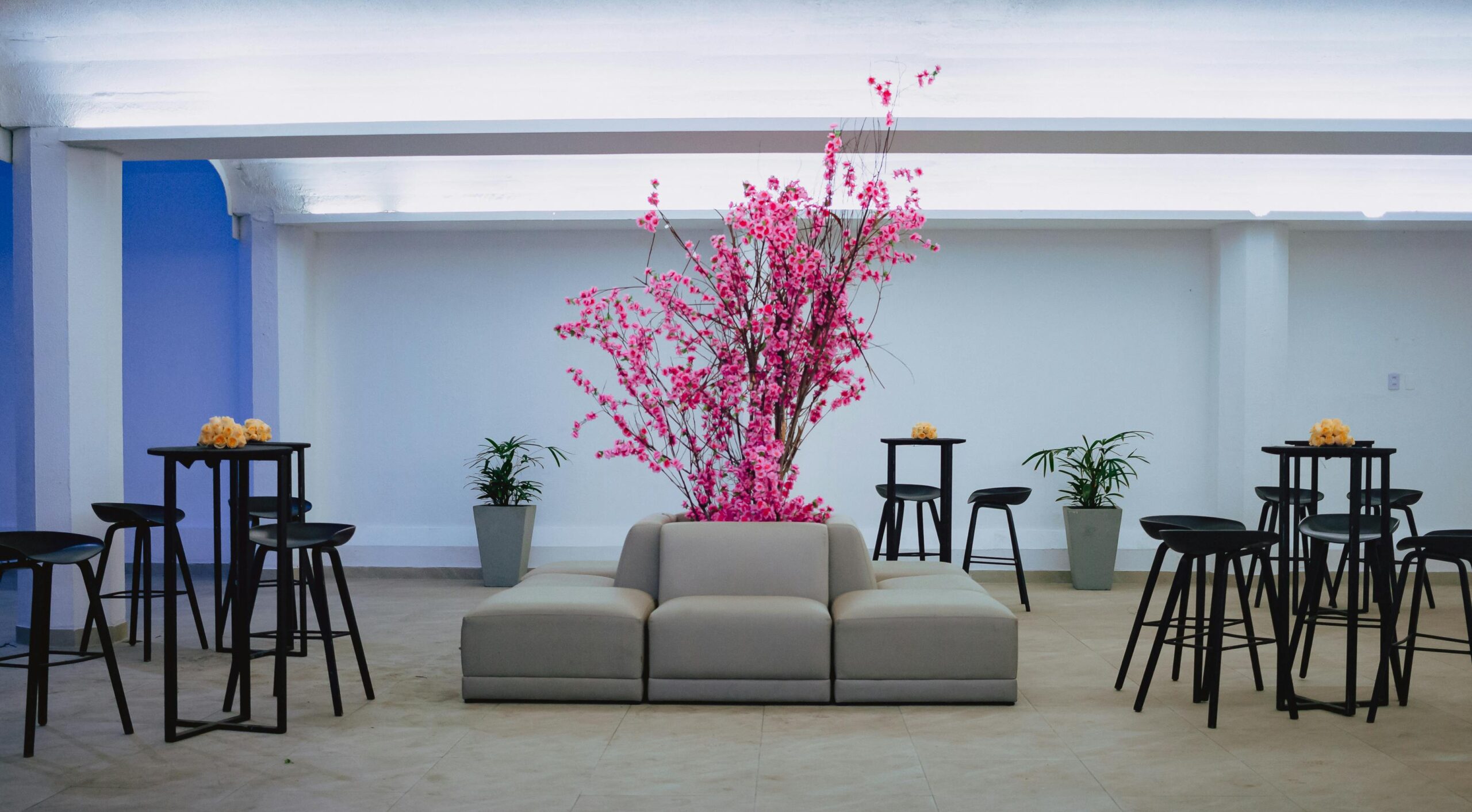 Bright modern interior featuring a pink floral arrangement on a beige sofa with bar tables and stools.